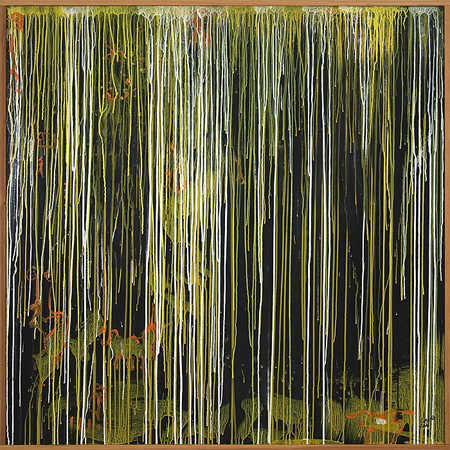 Nocturnal Rainforest